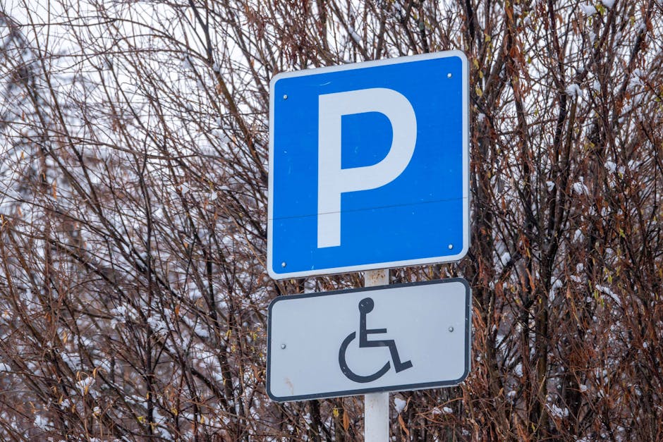 An asphalt parking area with clearly marked white lines and designated spaces, including a prominent white symbol indicating accessible parking for disabled individuals, with additional parking bays v